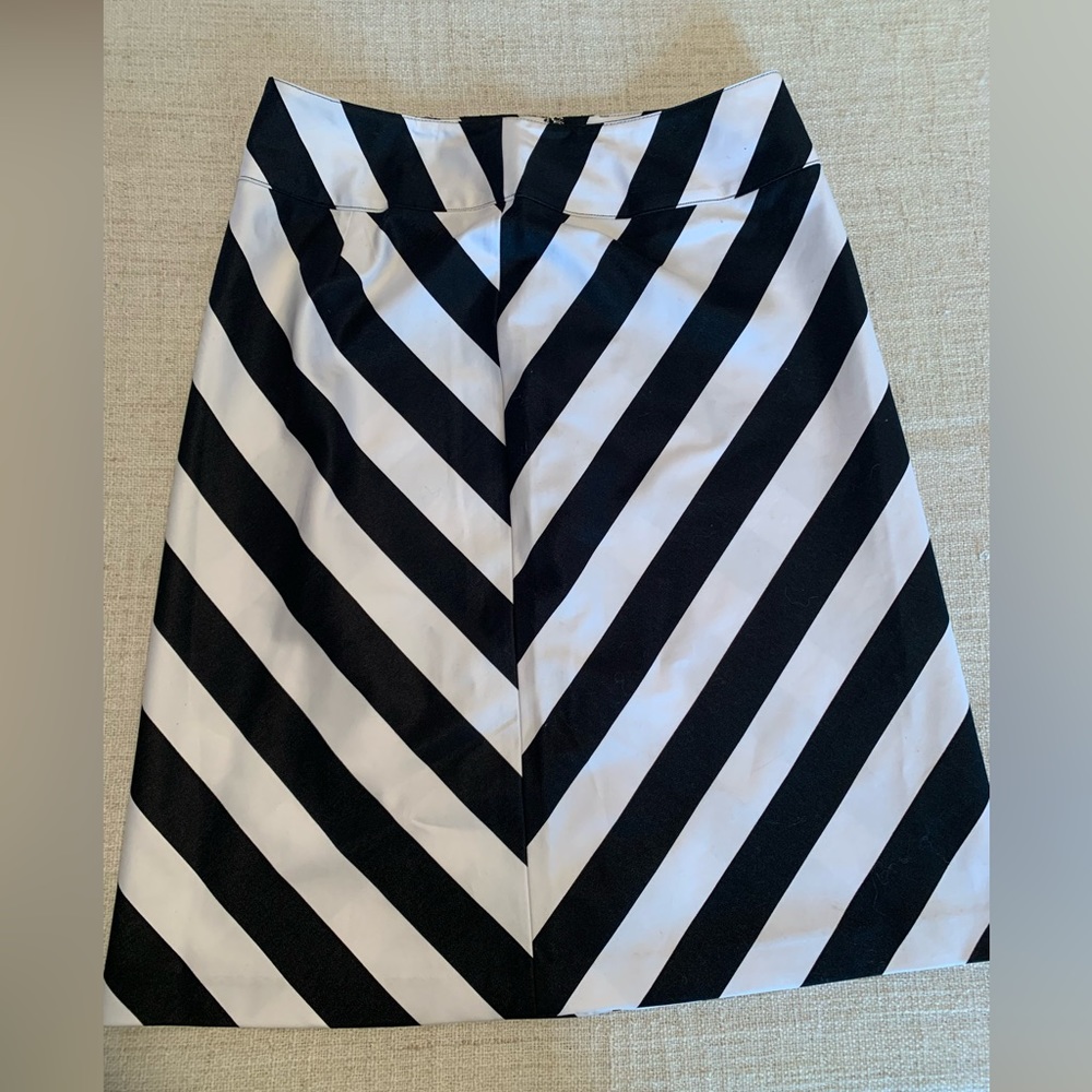 Classic Black & White Diagonal Stripe A-Line Skirt